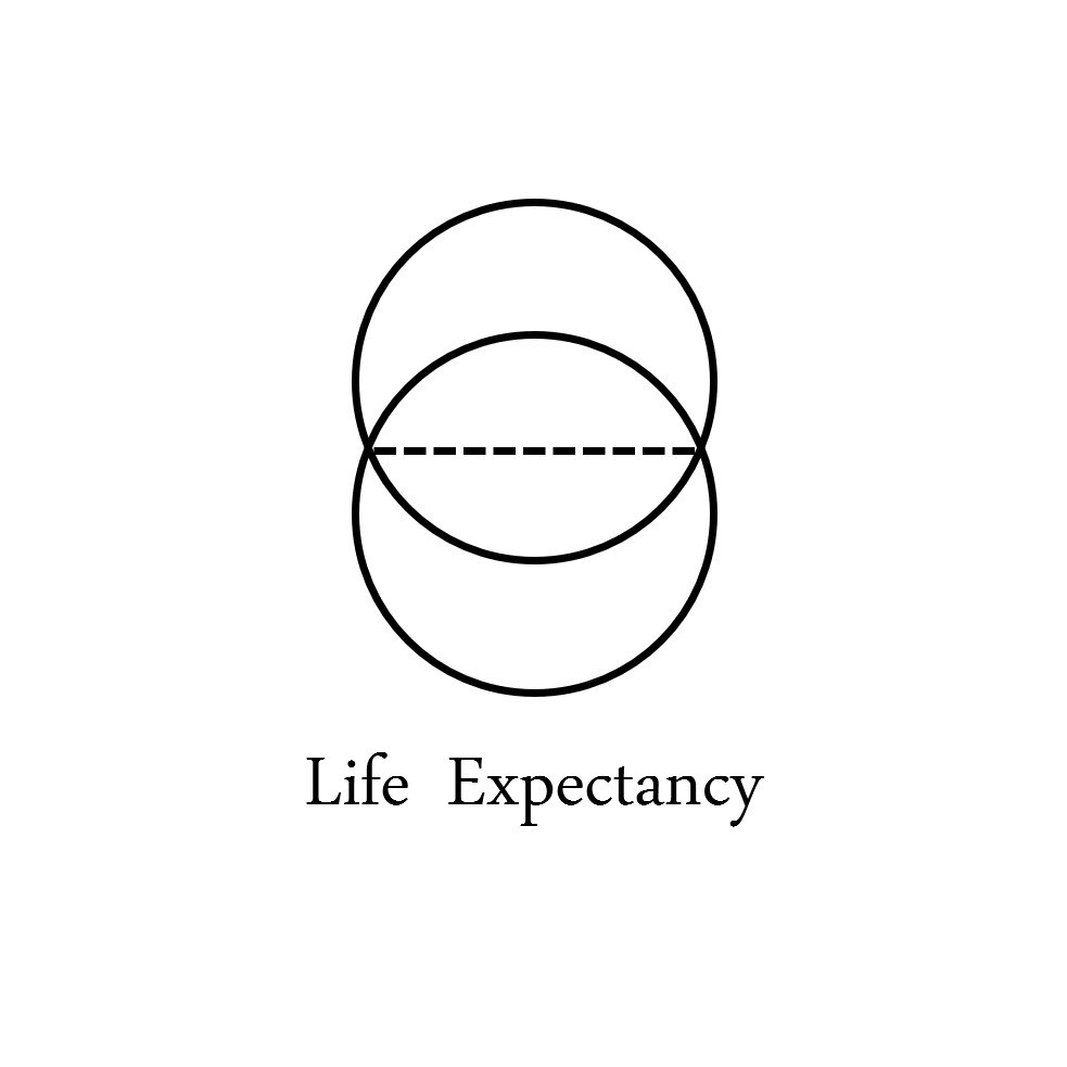 Life Expectancyとは